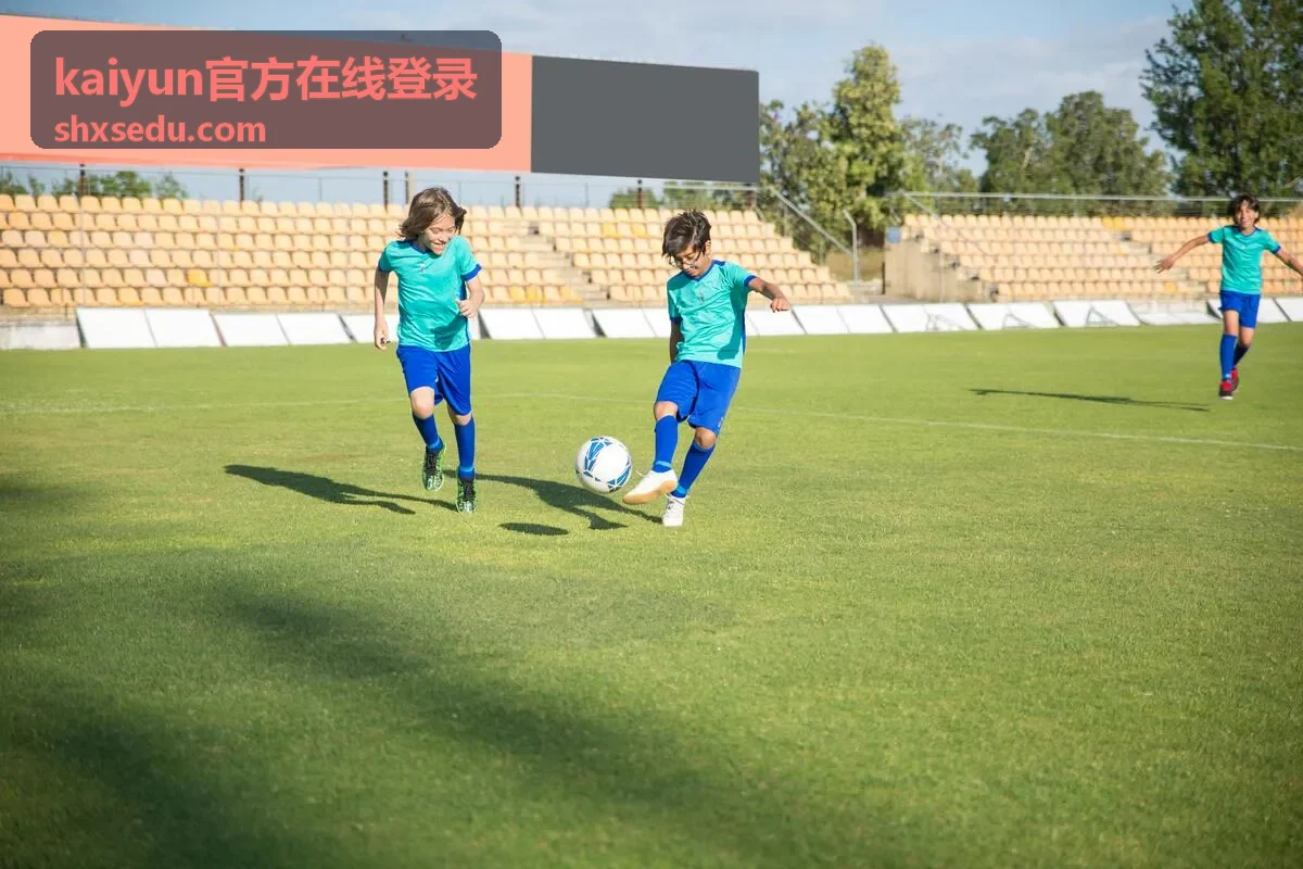 kaiyun官方在线登录 安全验证与账号核验场景